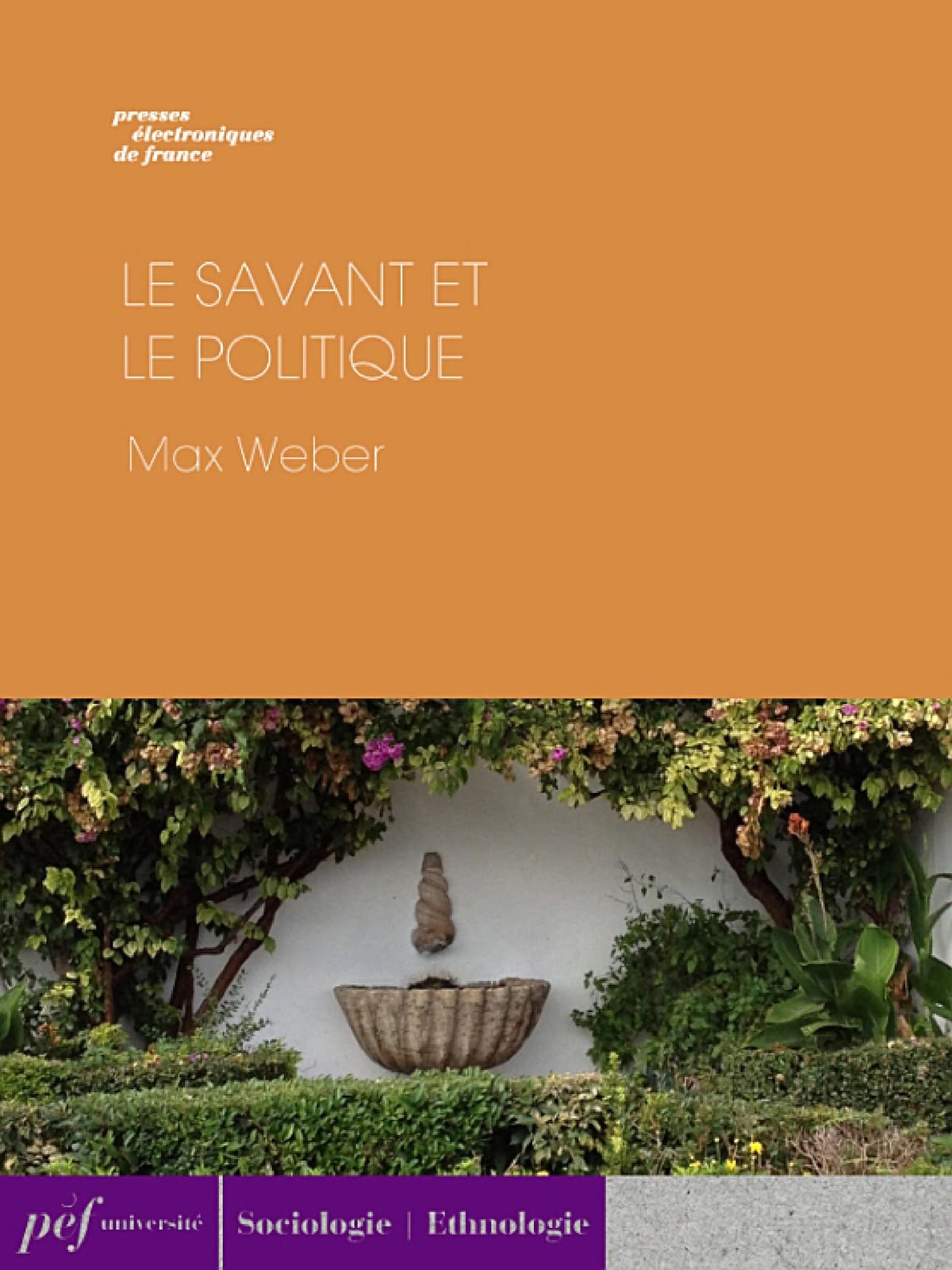 Le savant et le politique - Cover