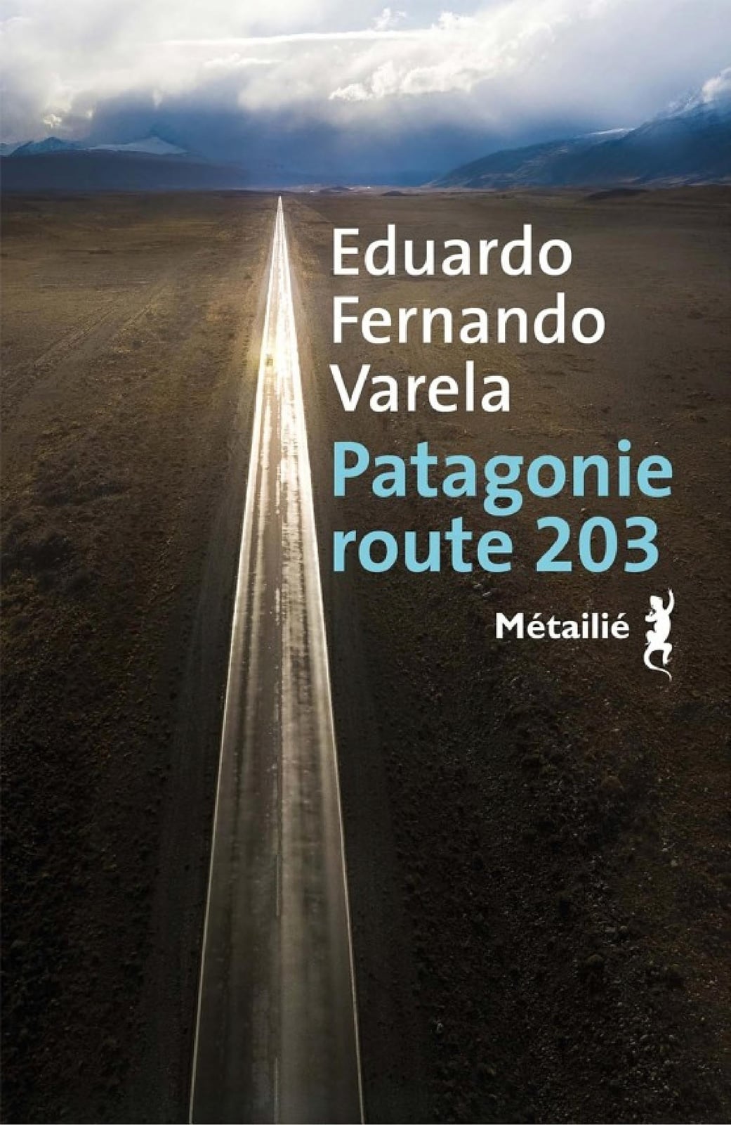 Patagonie route 203 - Cover