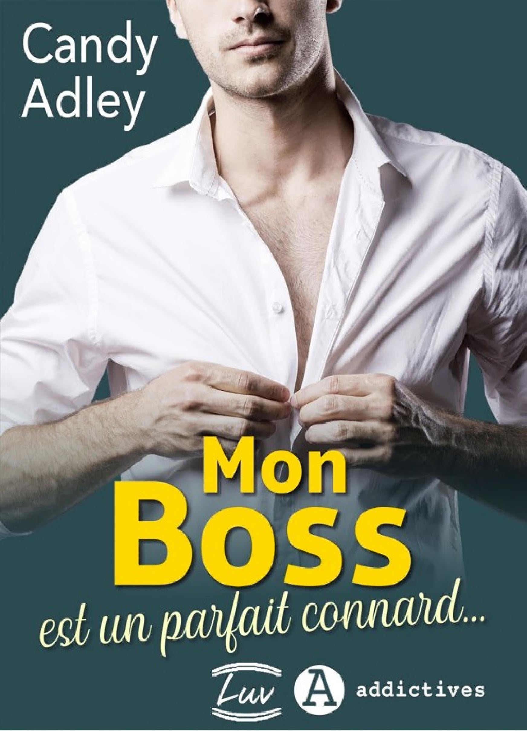 Mon boss est un parfait connard... (teaser) - Cover