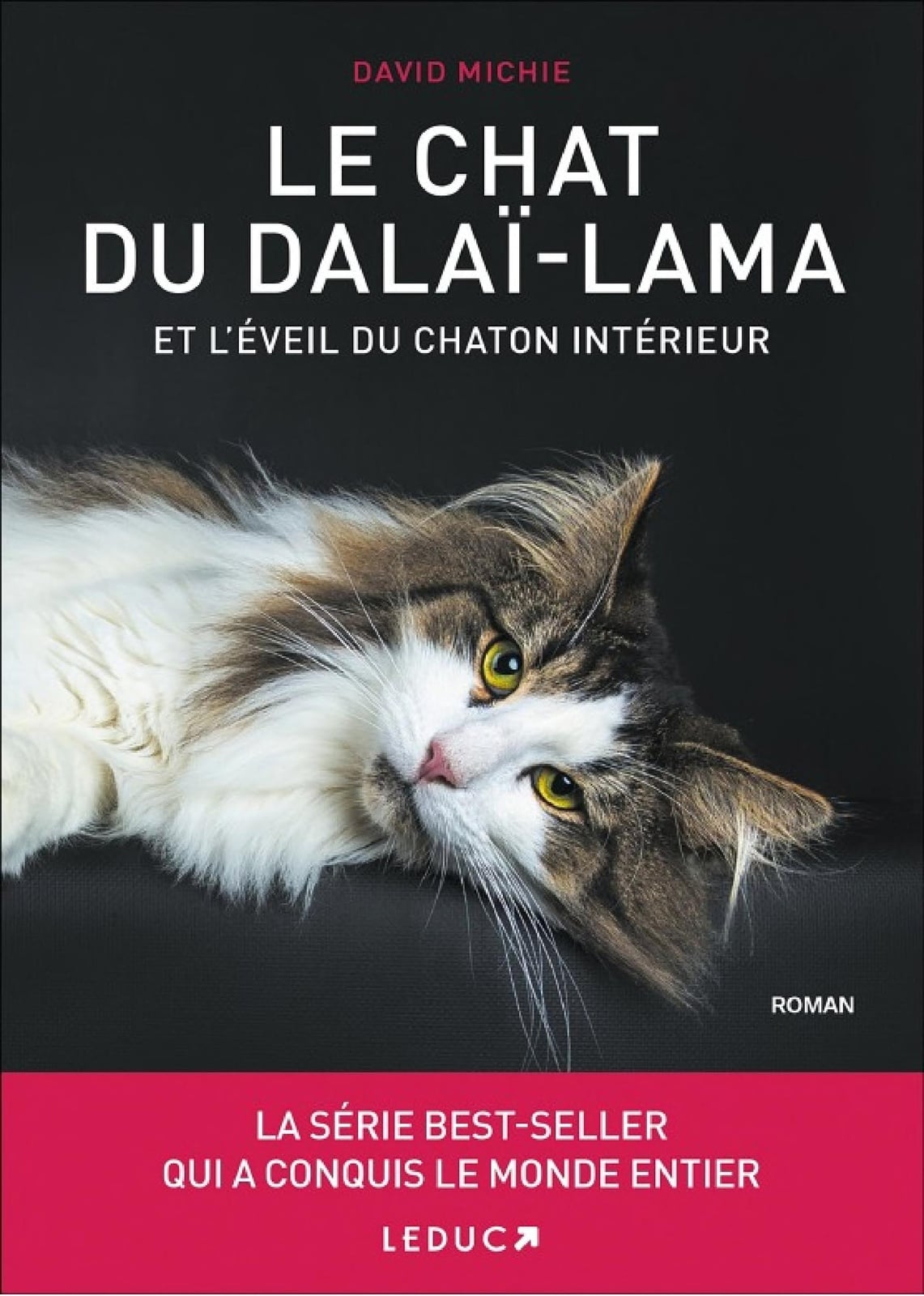 Le Chat du Dalai-Lama et l'éveil du chaton intérieur - Cover