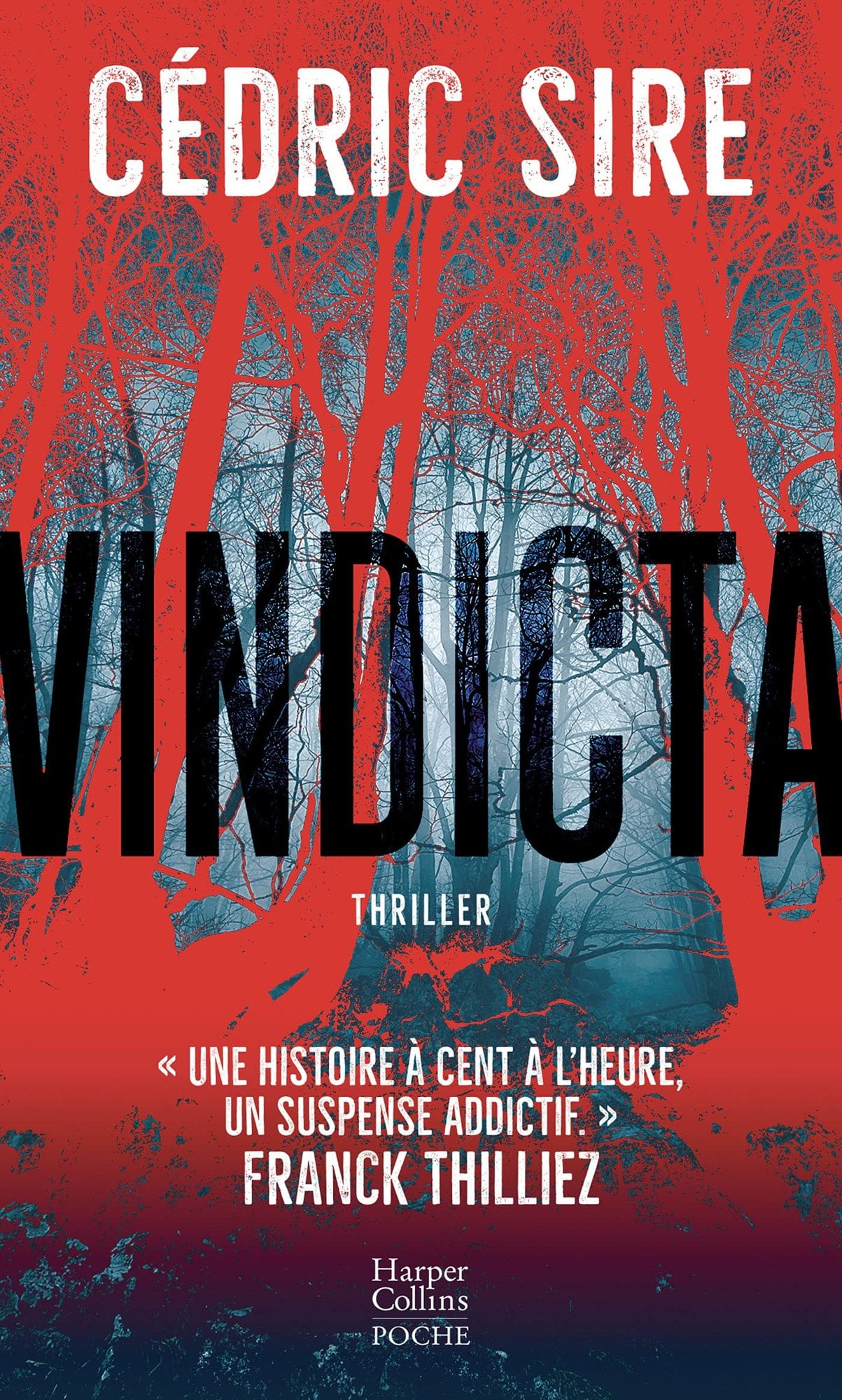 Vindicta Thriller - Cover