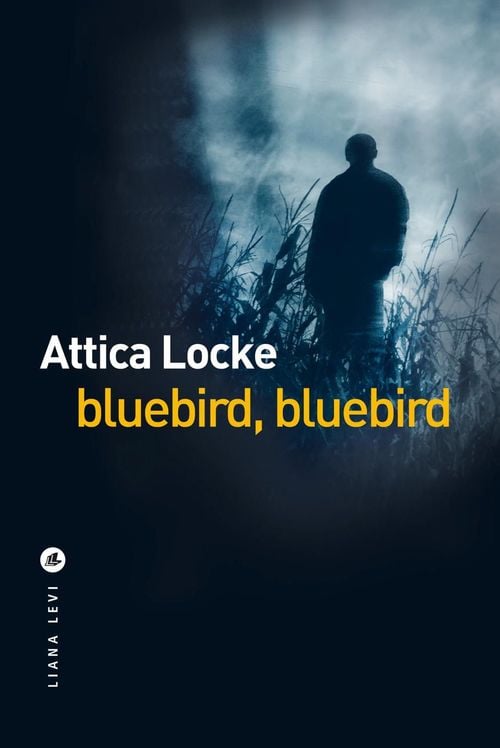 Bluebird, Bluebird - Cover