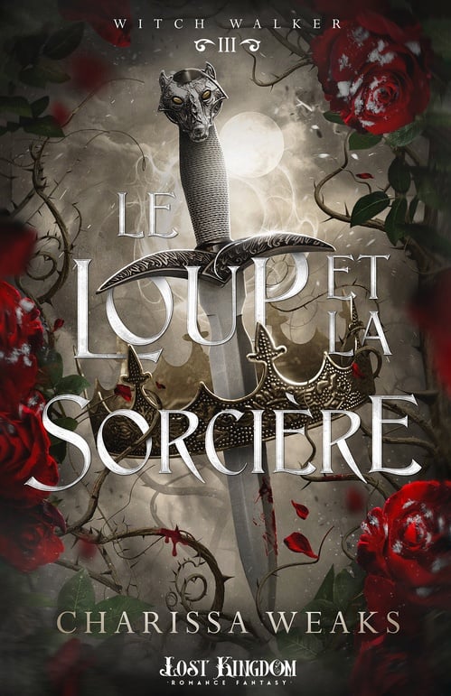 Le loup et la sorcière - Cover