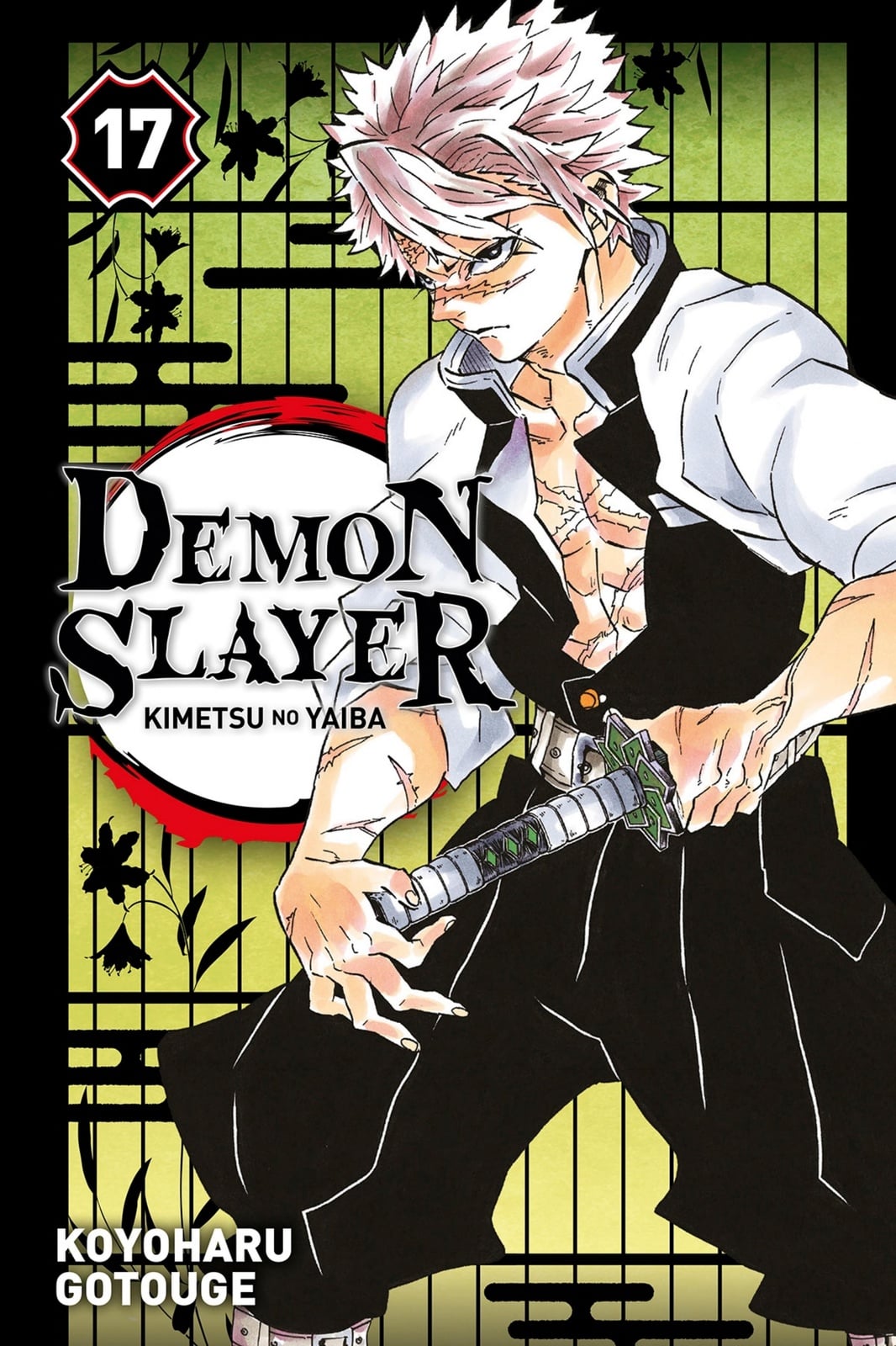 Demon Slayer T17 - Cover