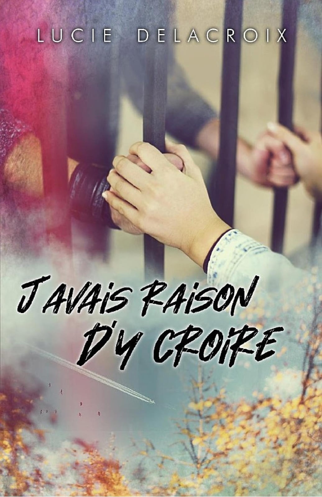 J'avais raison d'y croire - Cover