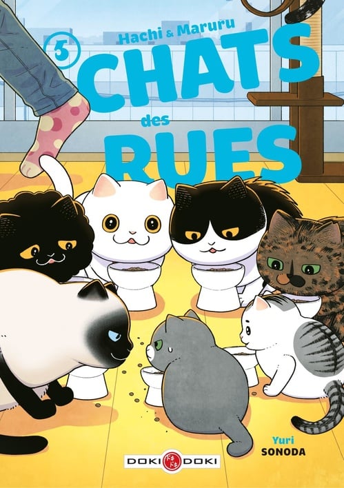 Hachi & Maruru - Chats des rues - Tome 5 - Chats des rues - Cover