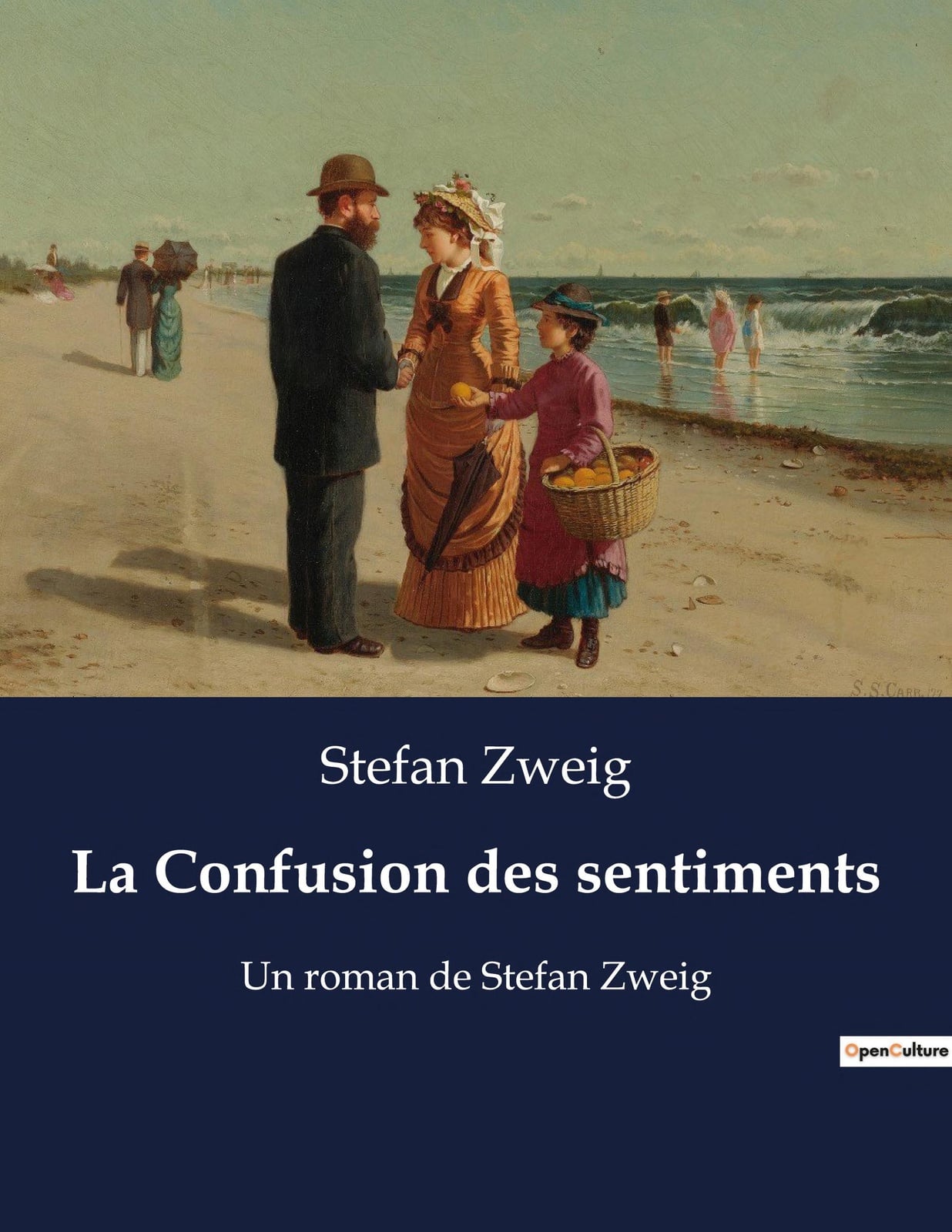 La Confusion des sentiments Un roman de Stefan Zweig - Cover