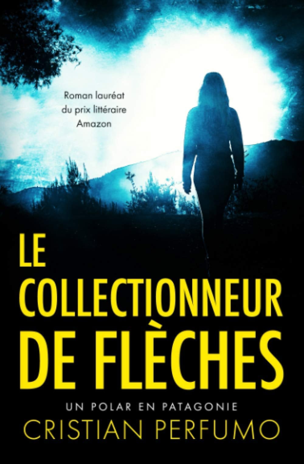 Le collectionneur de flèches - Cover