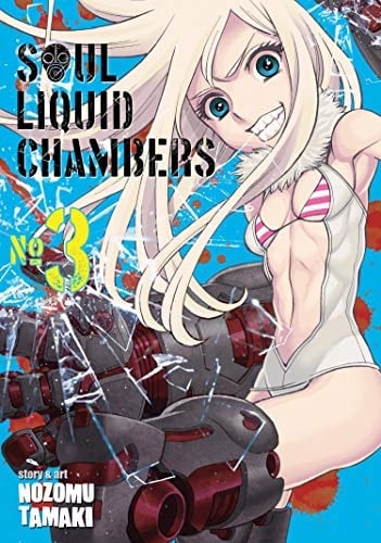 Soul Liquid Chambers Vol. 3 - Cover