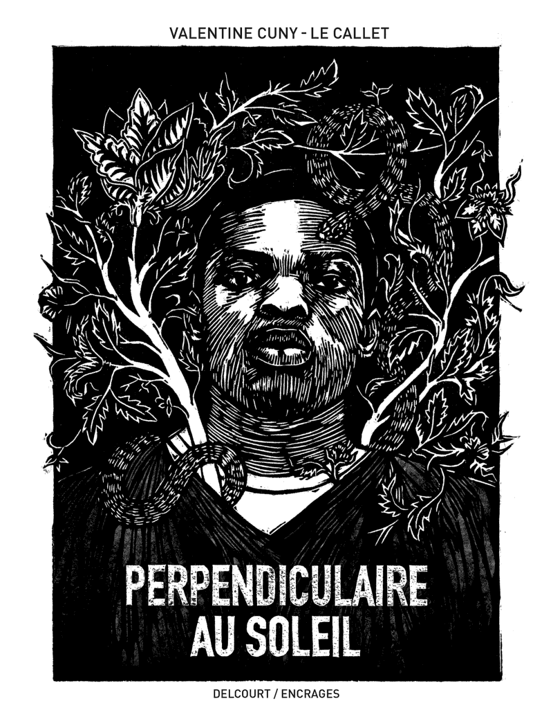 Perpendiculaire au soleil - Cover