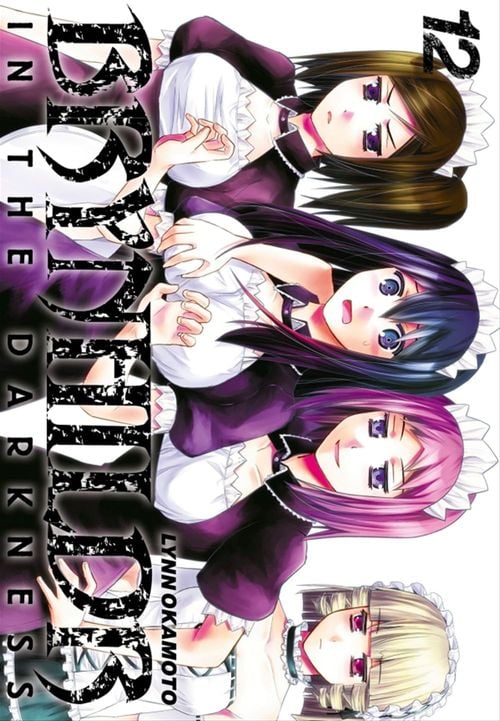 Brynhildr in the Darkness T12 - Cover