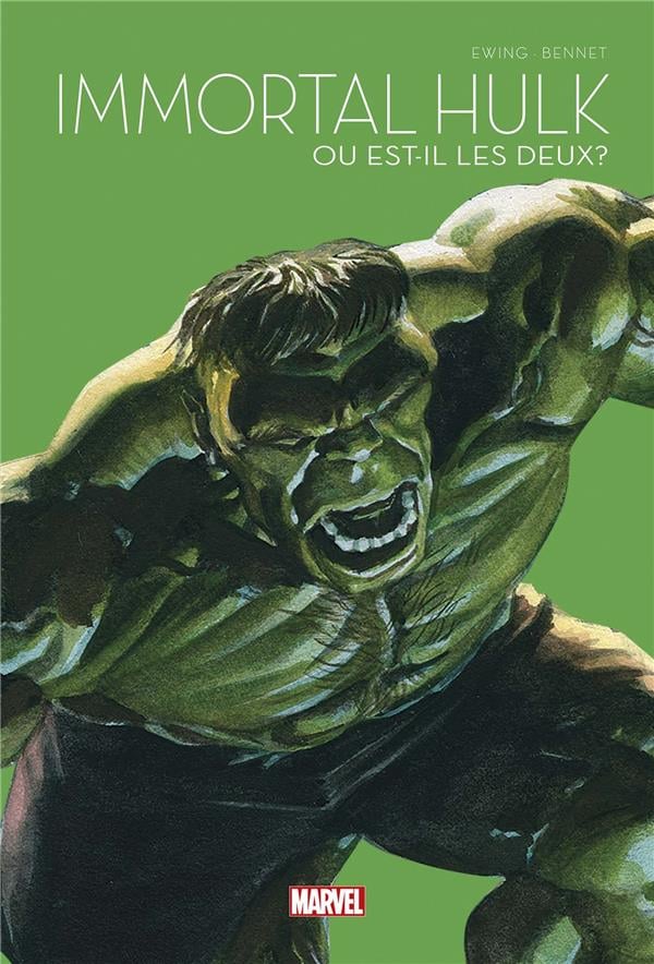 Immortal Hulk Ou est-il les deux ? - Cover