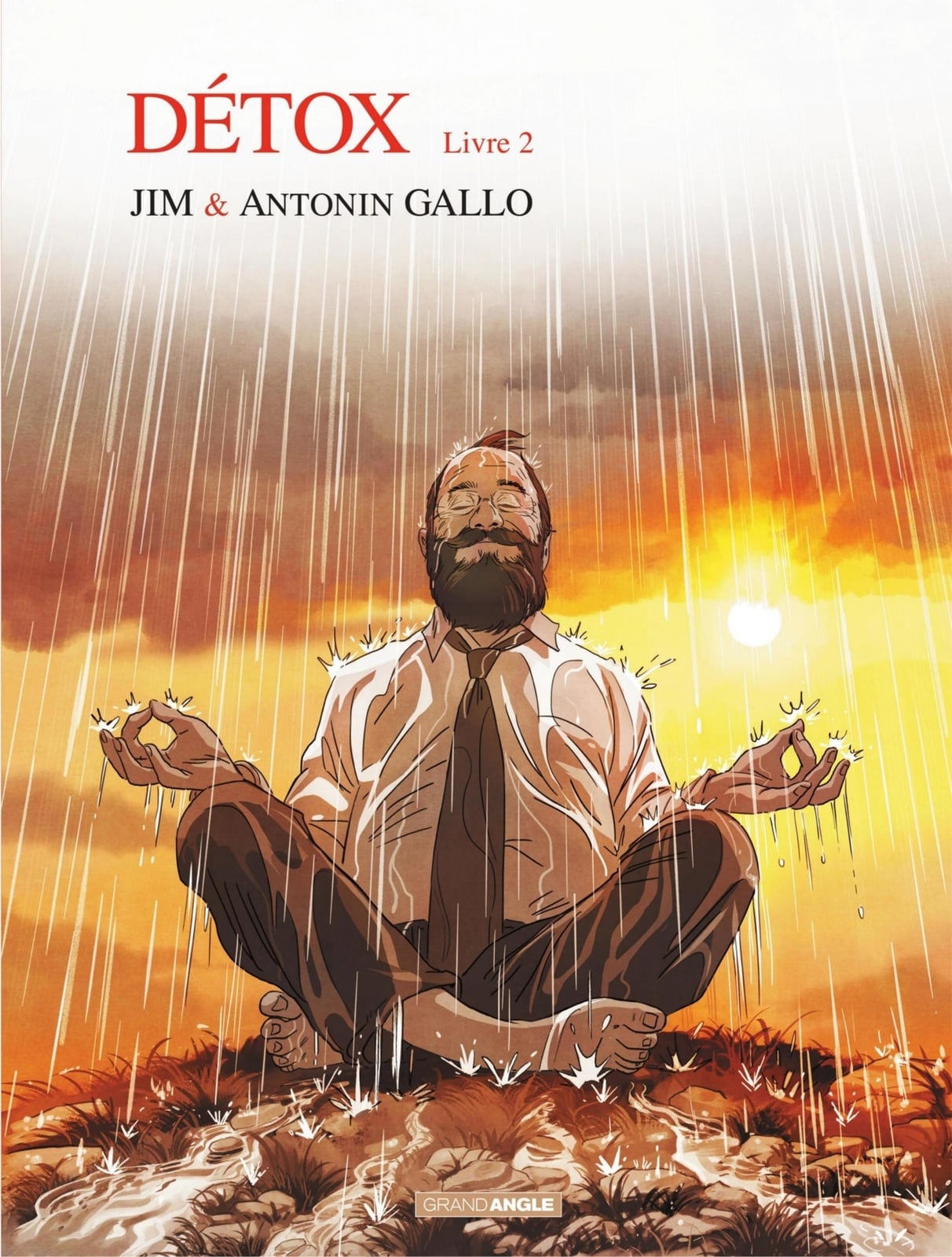 Detox - Volume 2 - Cover