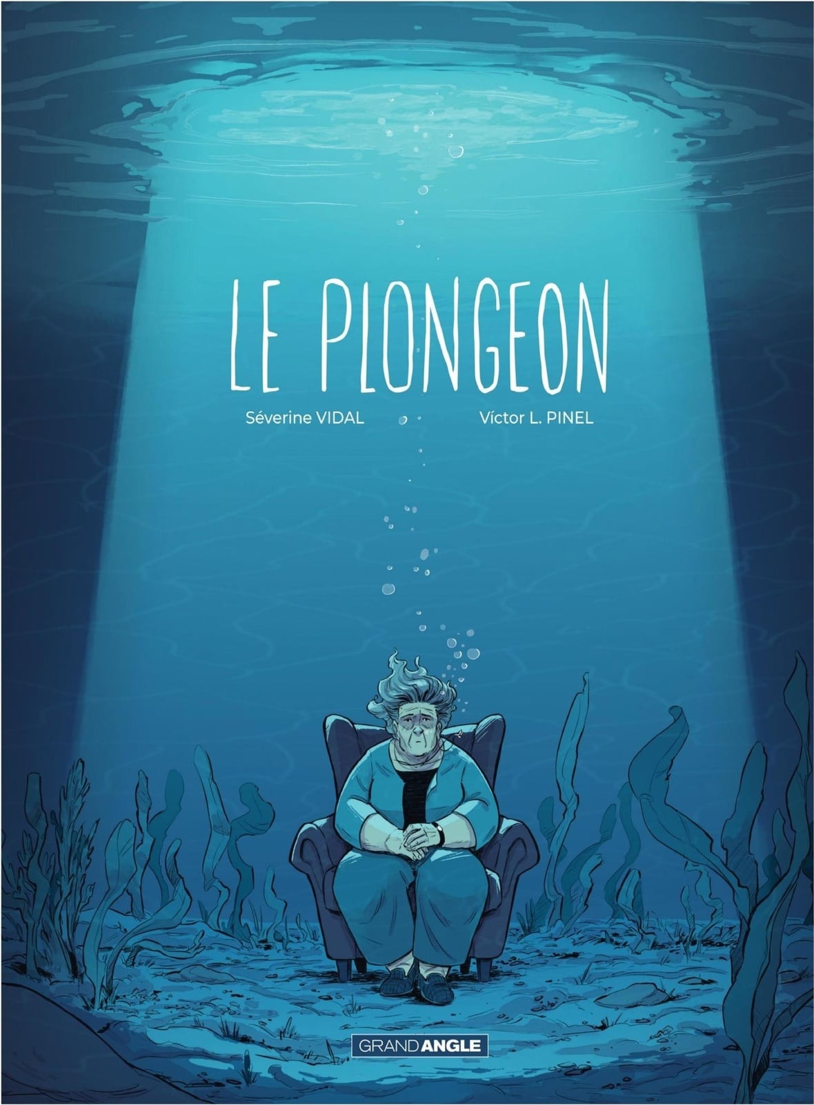 Le plongeon - Histoire complète - Cover