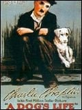 Une Vie de chien - Cover