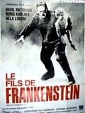 Le Fils de Frankenstein - Cover