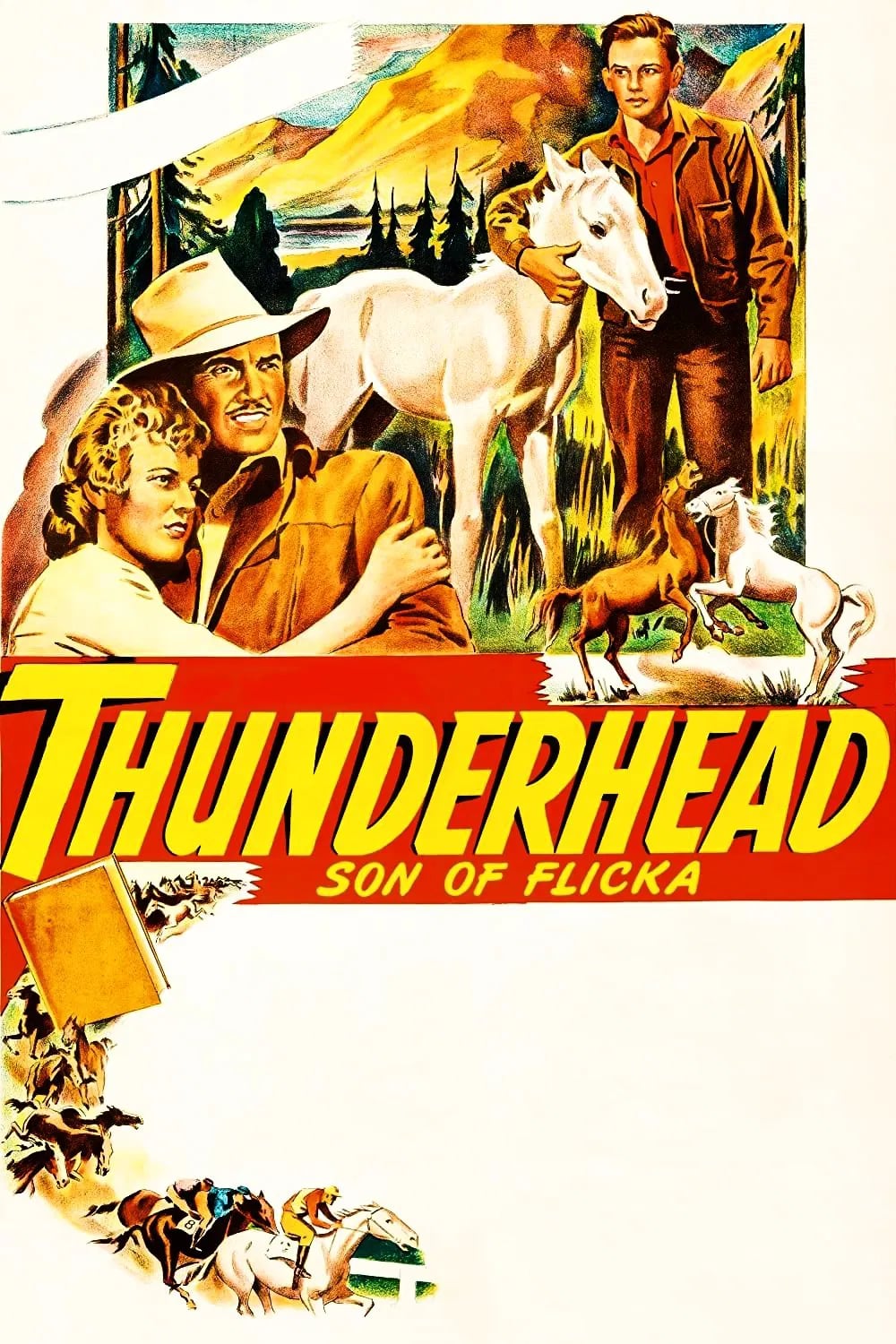 Thunderhead: Son of Flicka - Cover