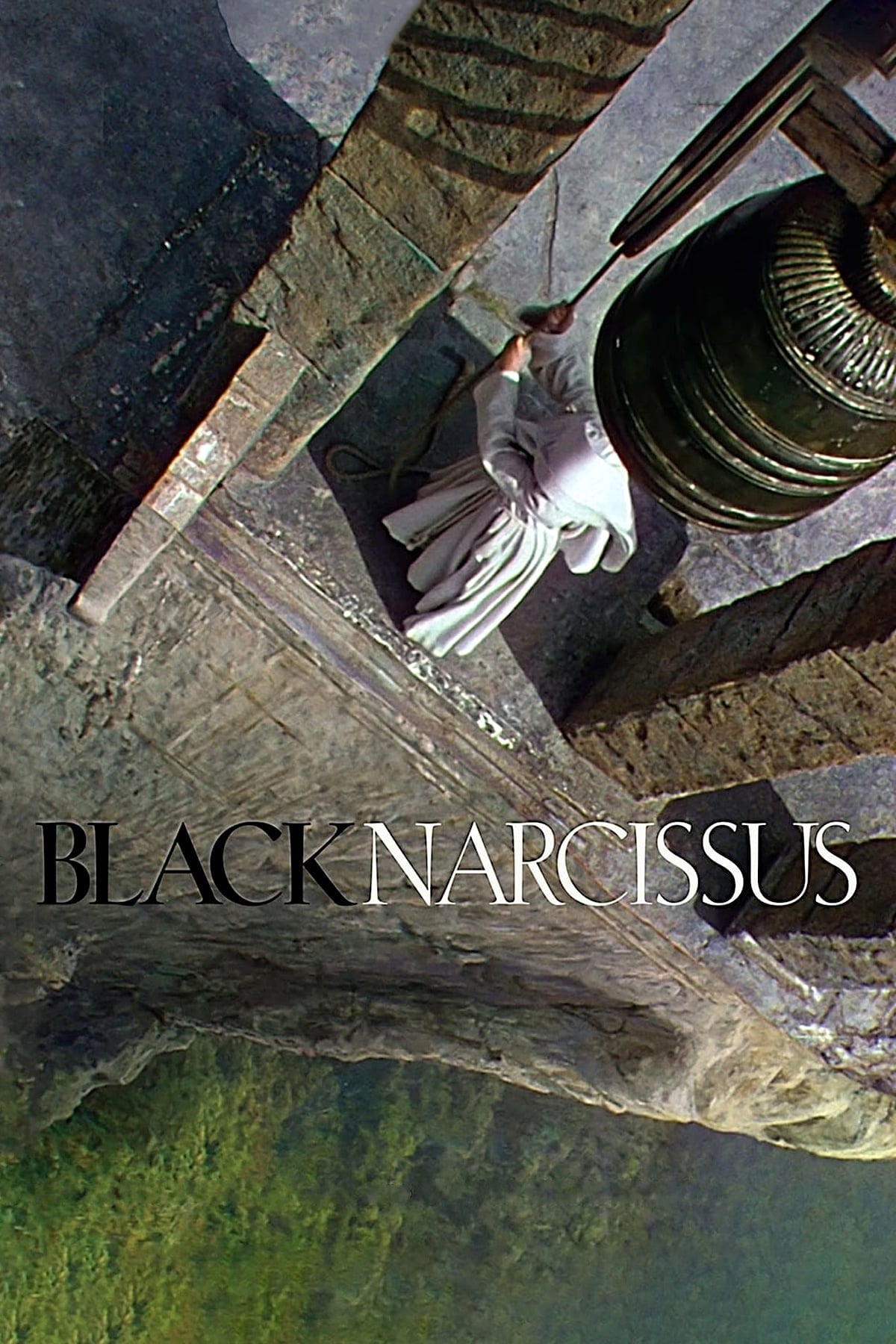 Black Narcissus - Cover