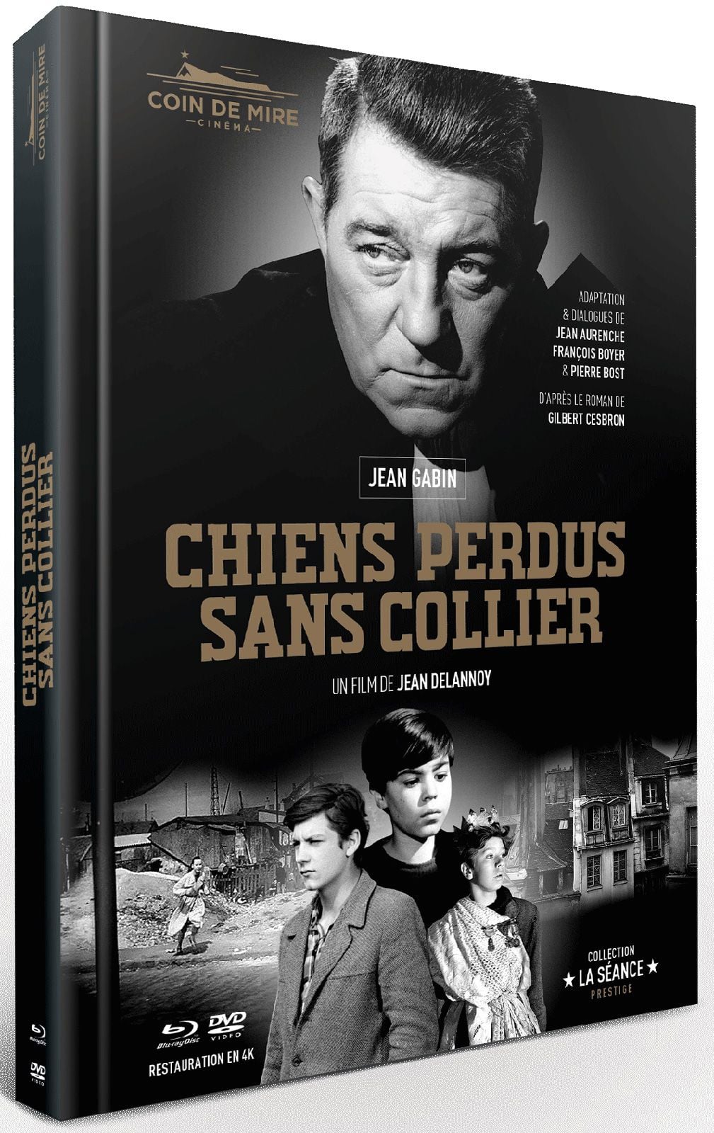 Chiens perdus sans collier - Cover