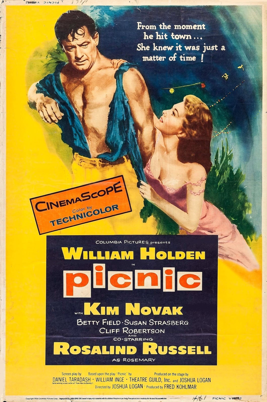Picnic - Cover