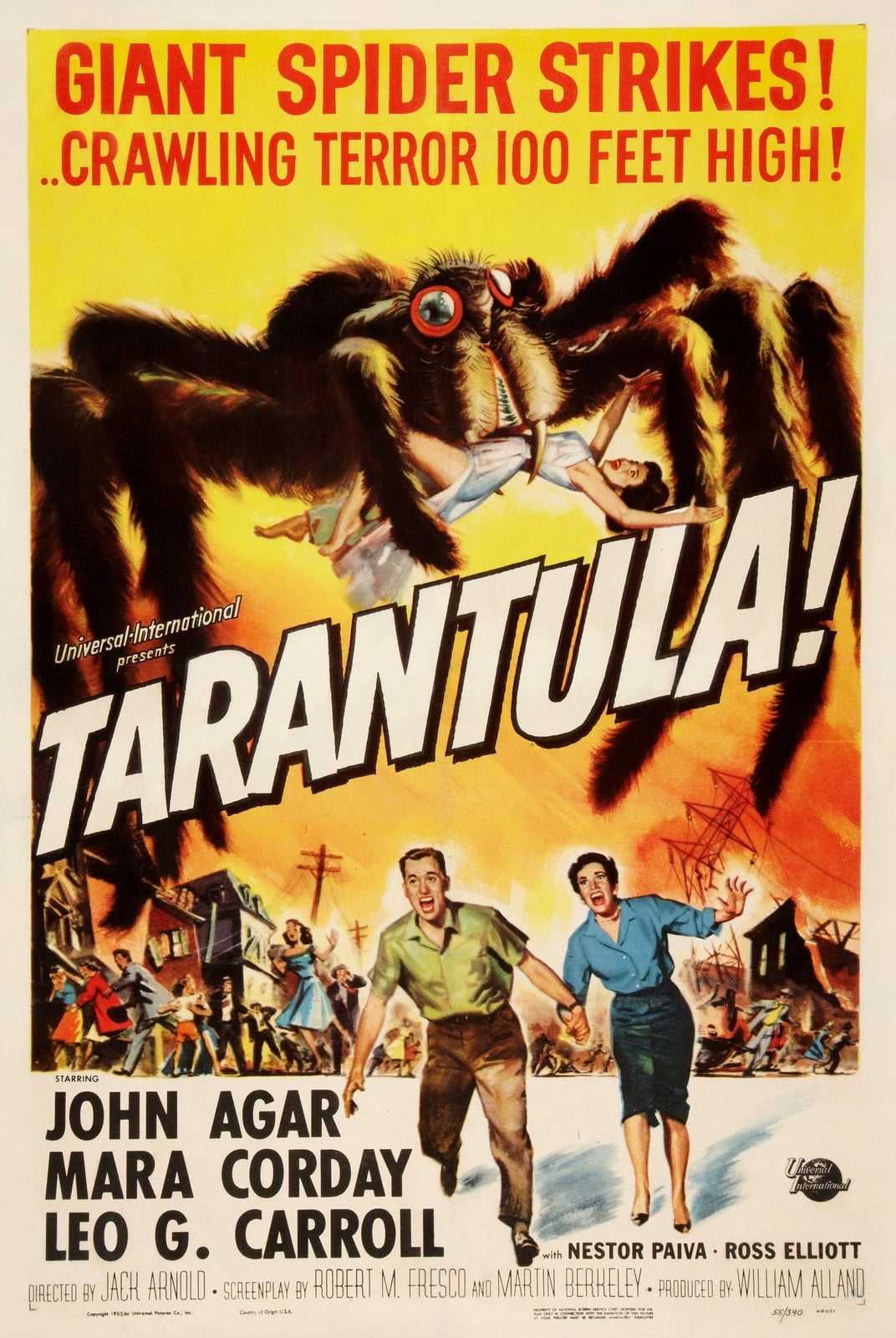 Tarantula - Cover