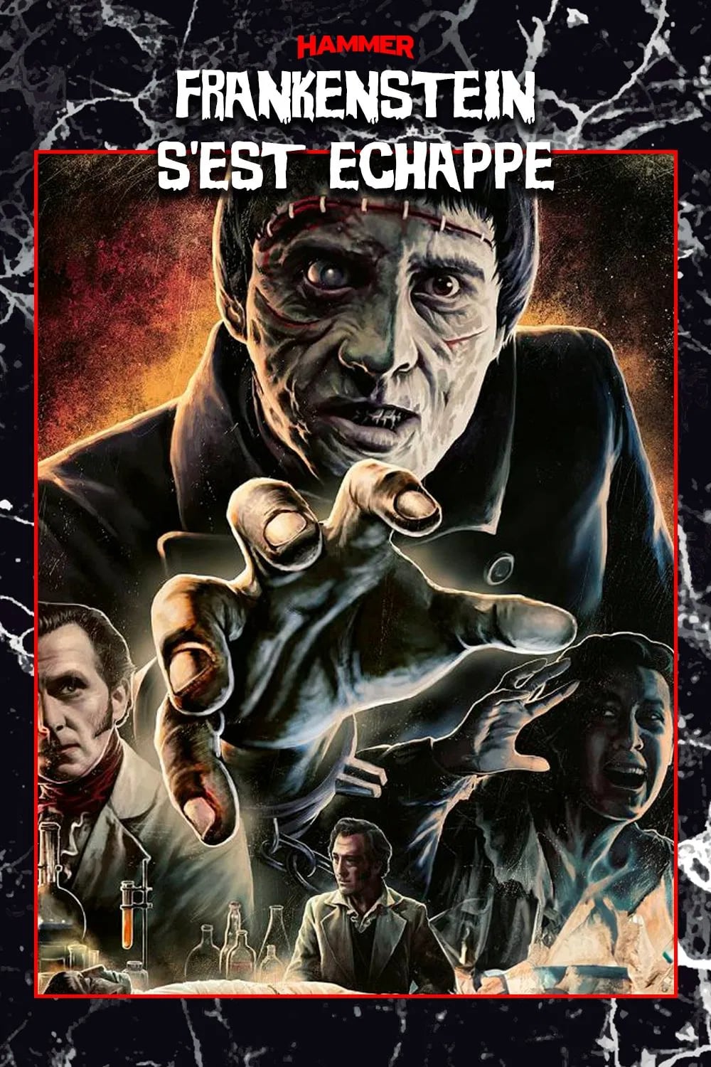 Frankenstein s'est échappé - Cover