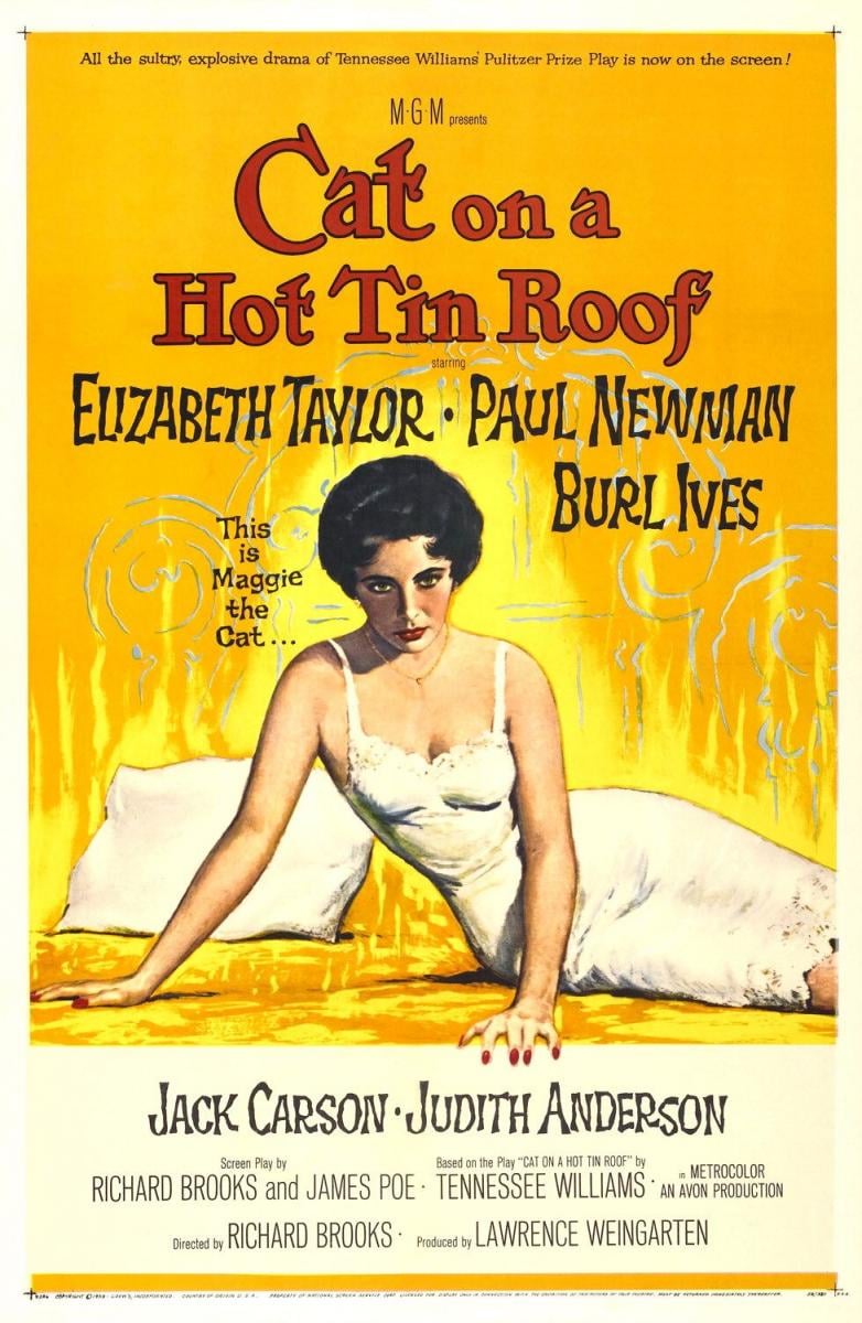 Cat on a Hot Tin Roof - Cover