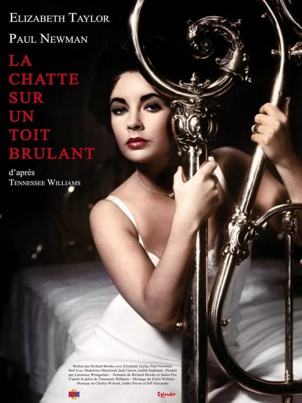 La Chatte sur un toit brûlant - Cover