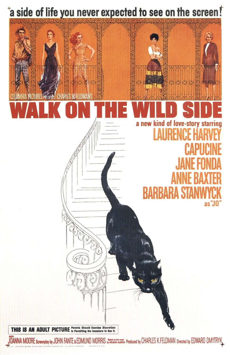 Walk on the Wild Side - Cover