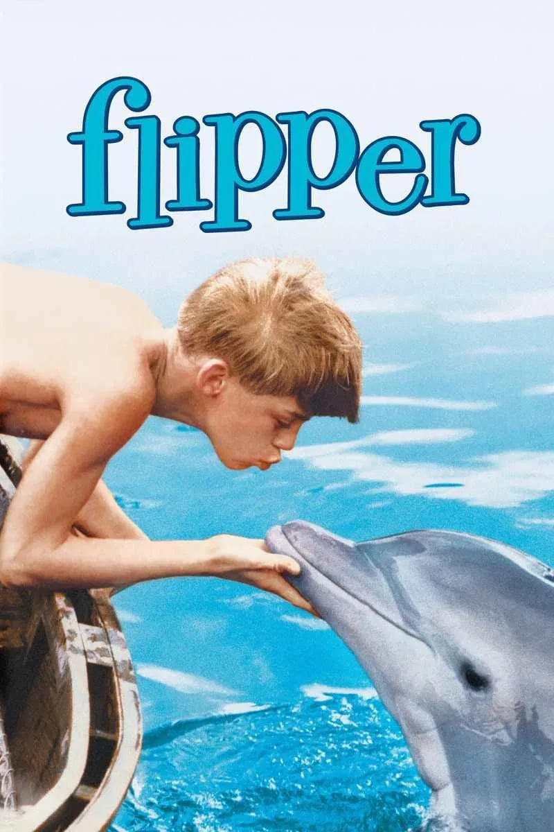 Flipper - Cover