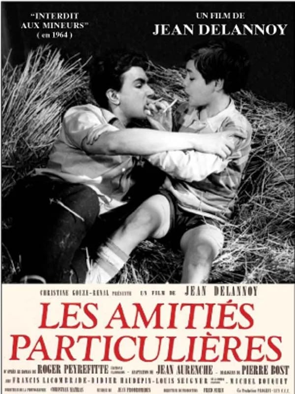Les amitiés particulières - Cover
