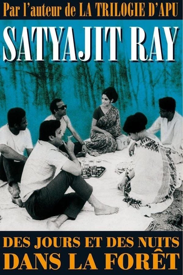 Des jours et des nuits dans la forêt - Cover