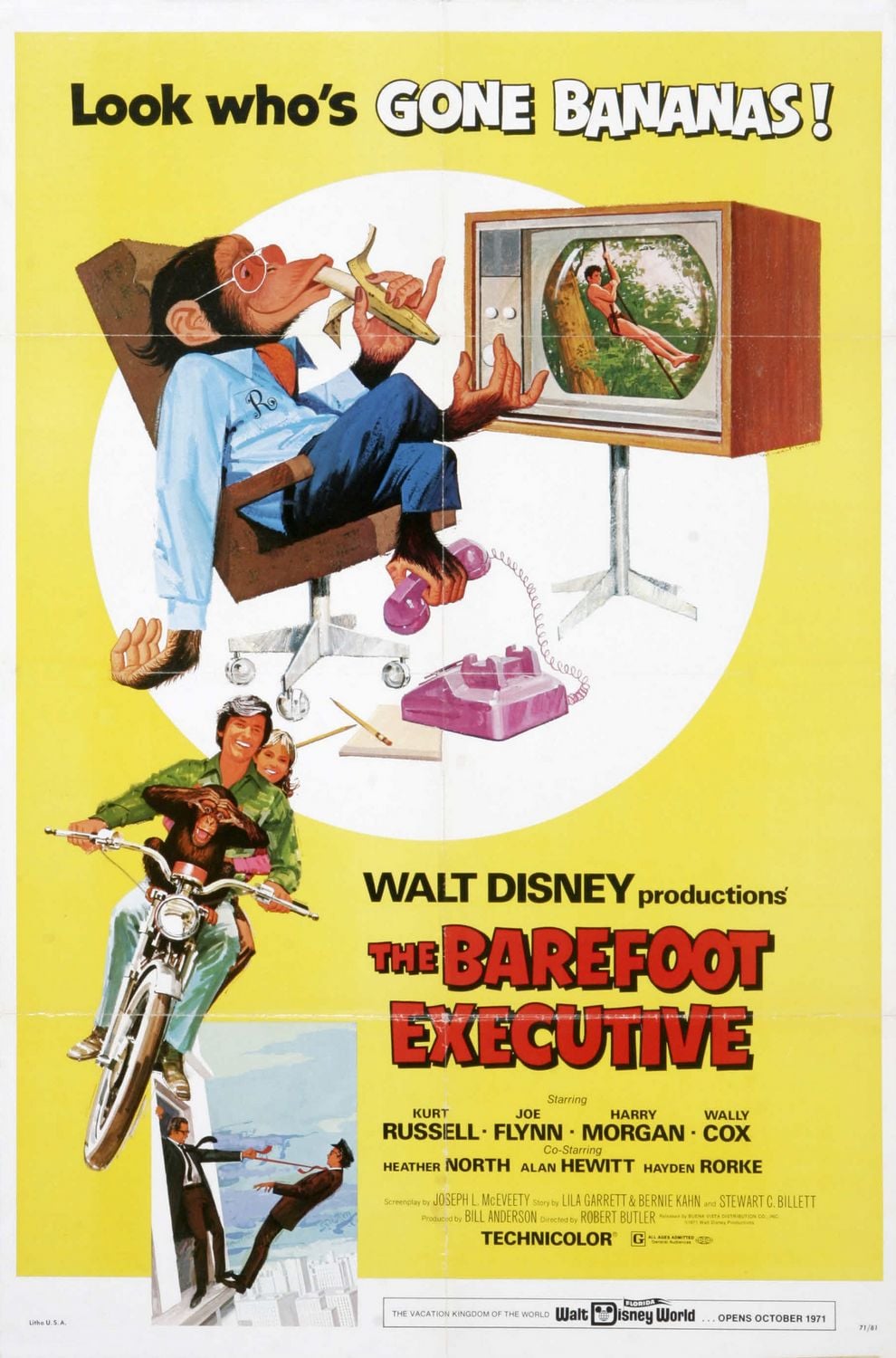 The Barefoot Executive - Cover