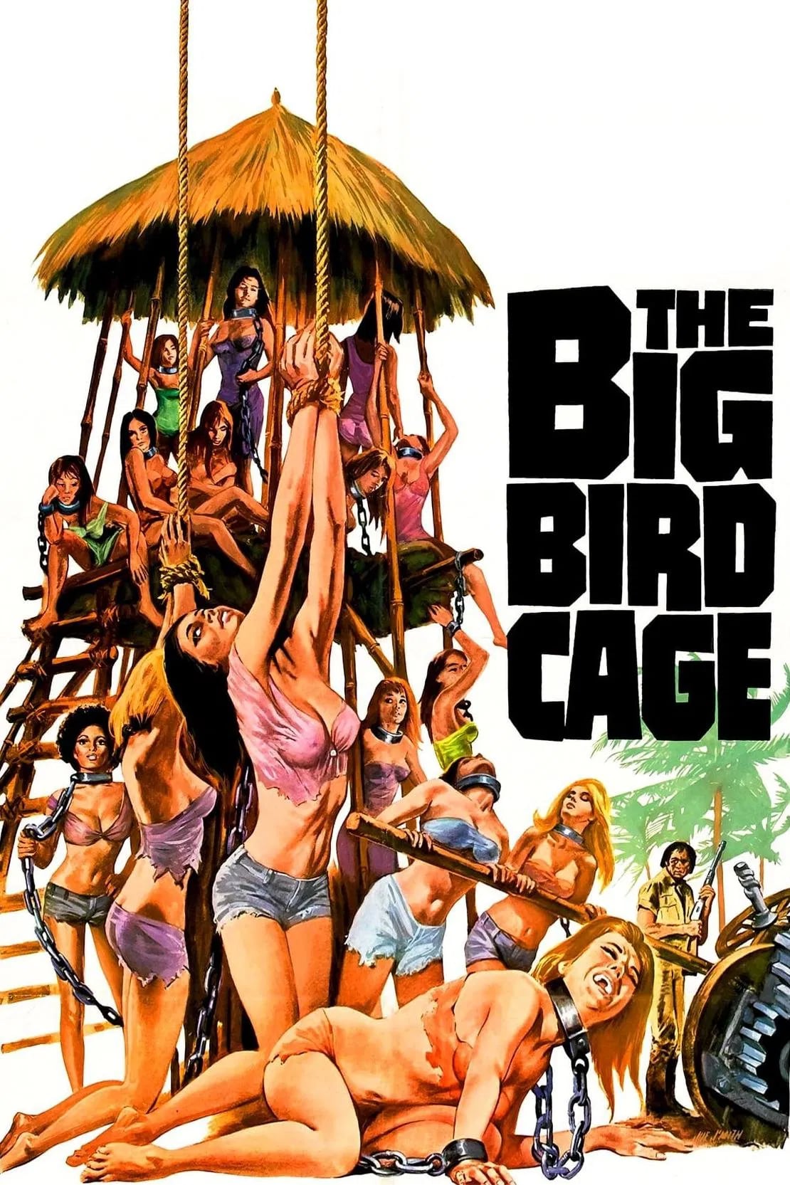 The Big Bird Cage - Cover
