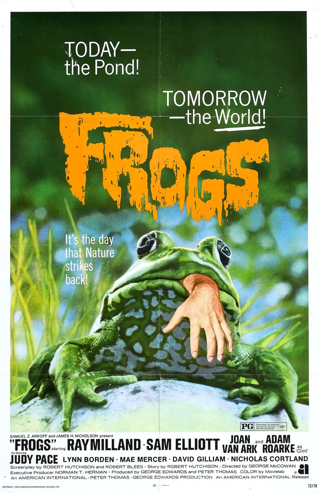 Frogs - Cover
