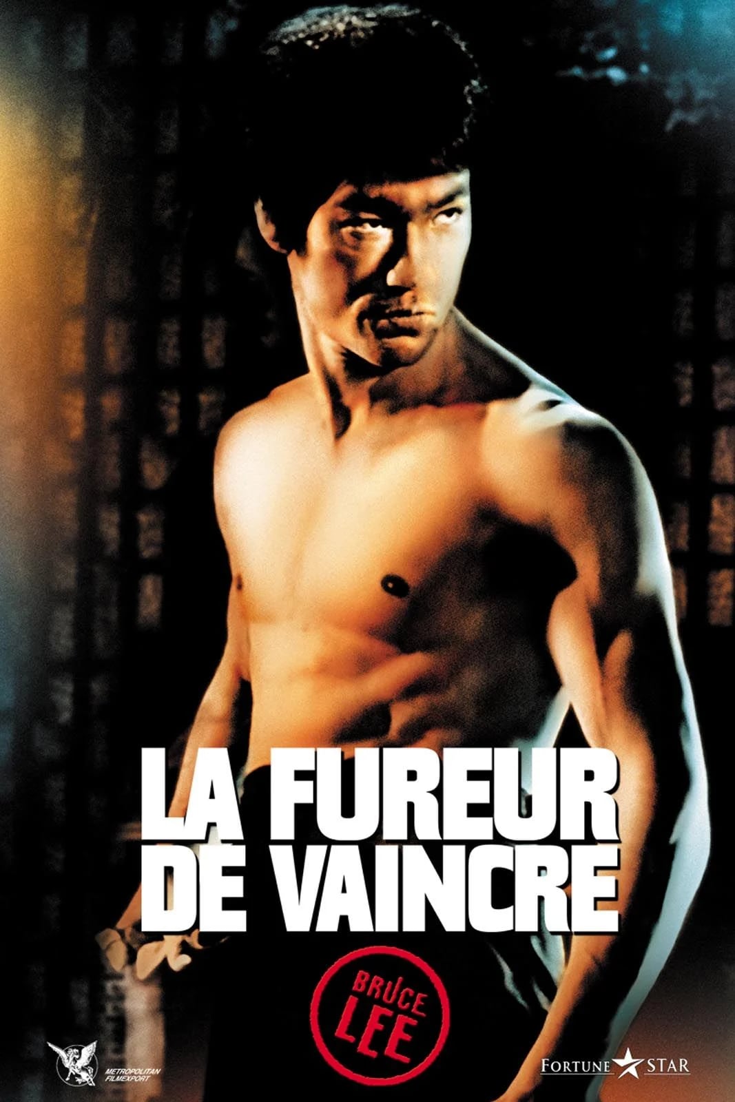 La Fureur De Vaincre - Cover