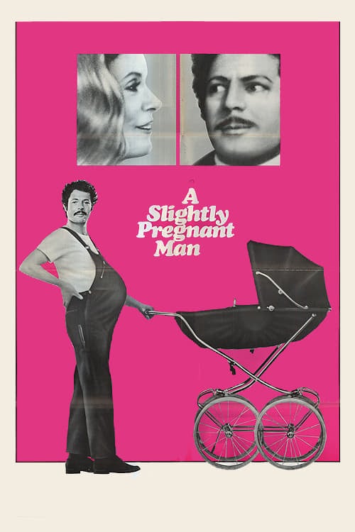 A Slightly Pregnant Man - Cover
