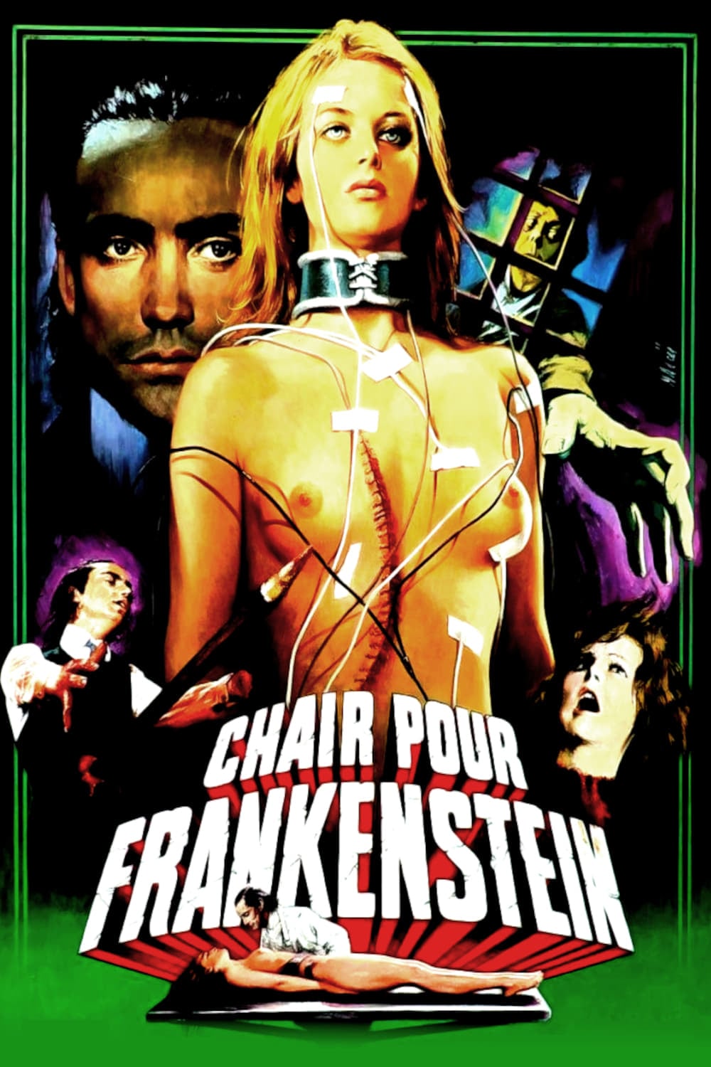 Chair pour Frankenstein - Cover