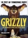 Grizzly - Cover