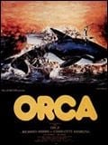 Orca - Cover