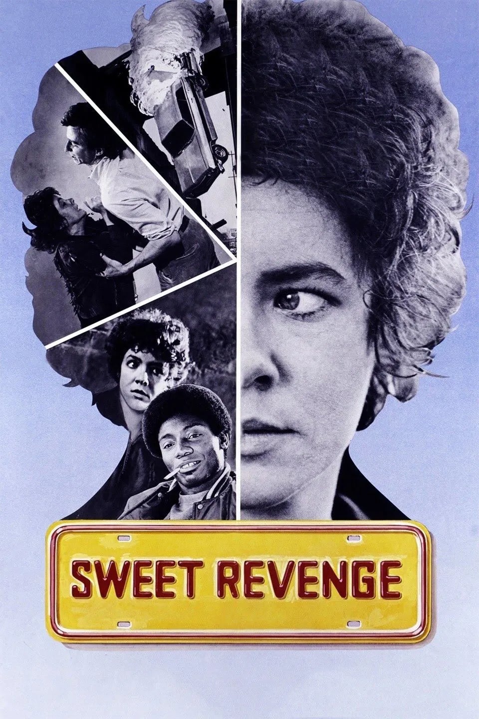 Sweet Revenge - Cover