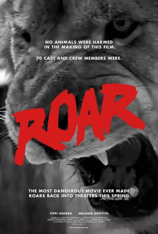 Roar - Cover