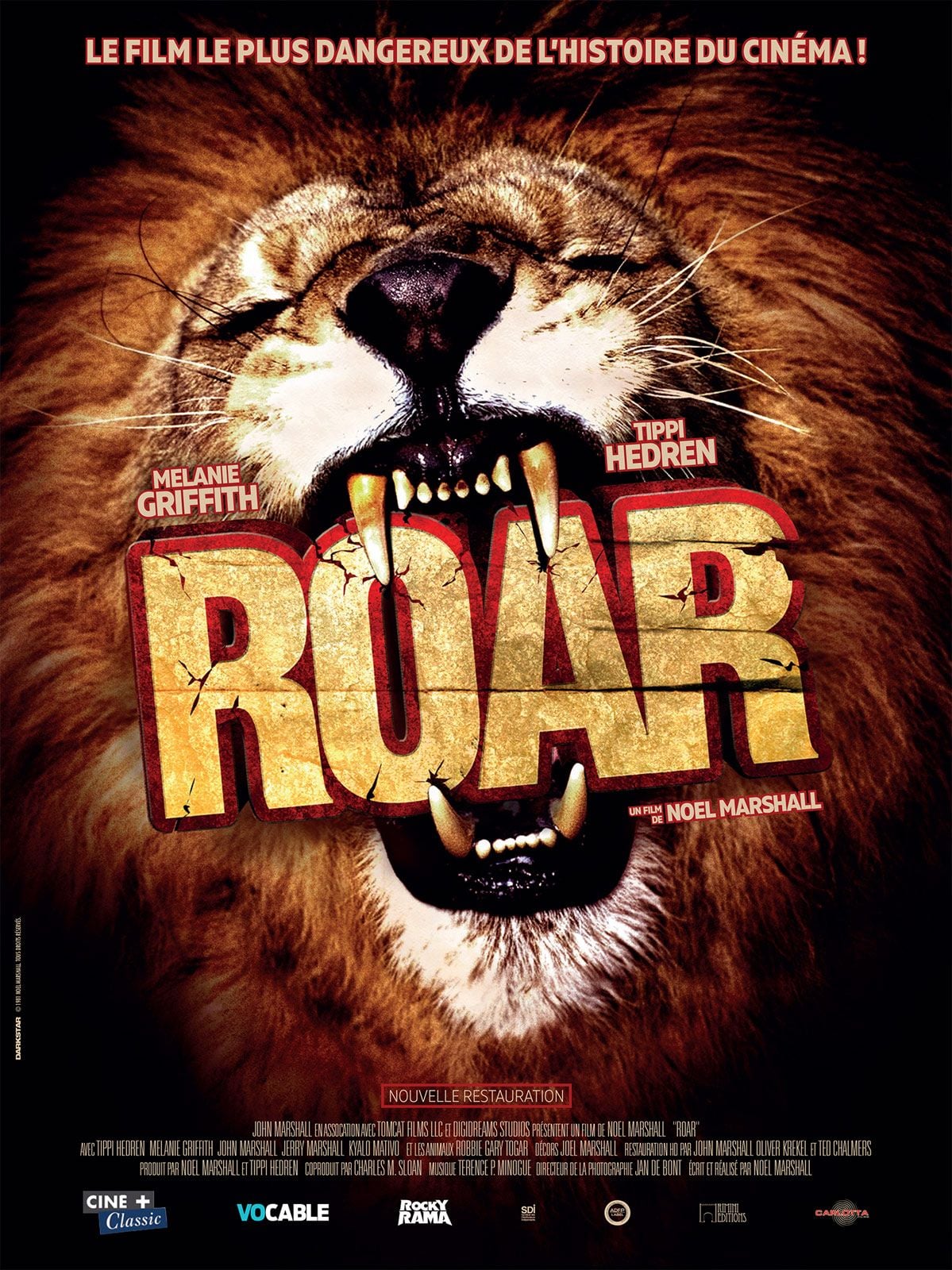 Roar - Cover