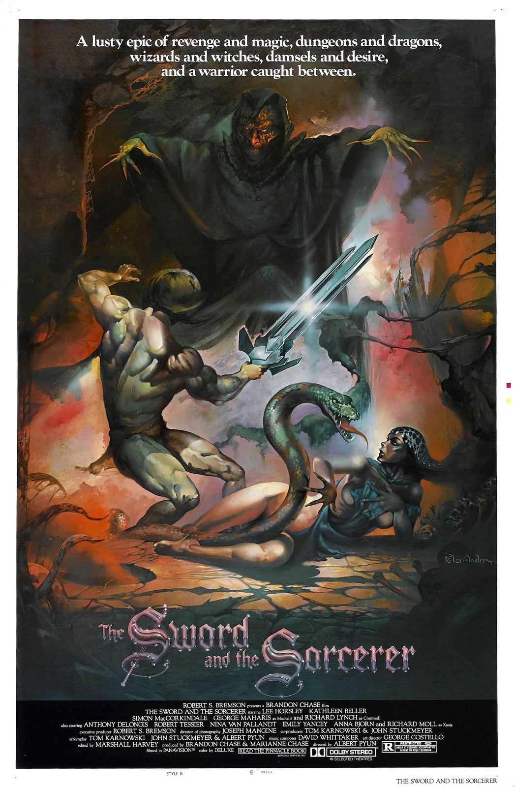 The Sword and the Sorcerer - Cover