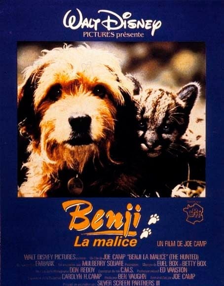 Benji la malice - Cover