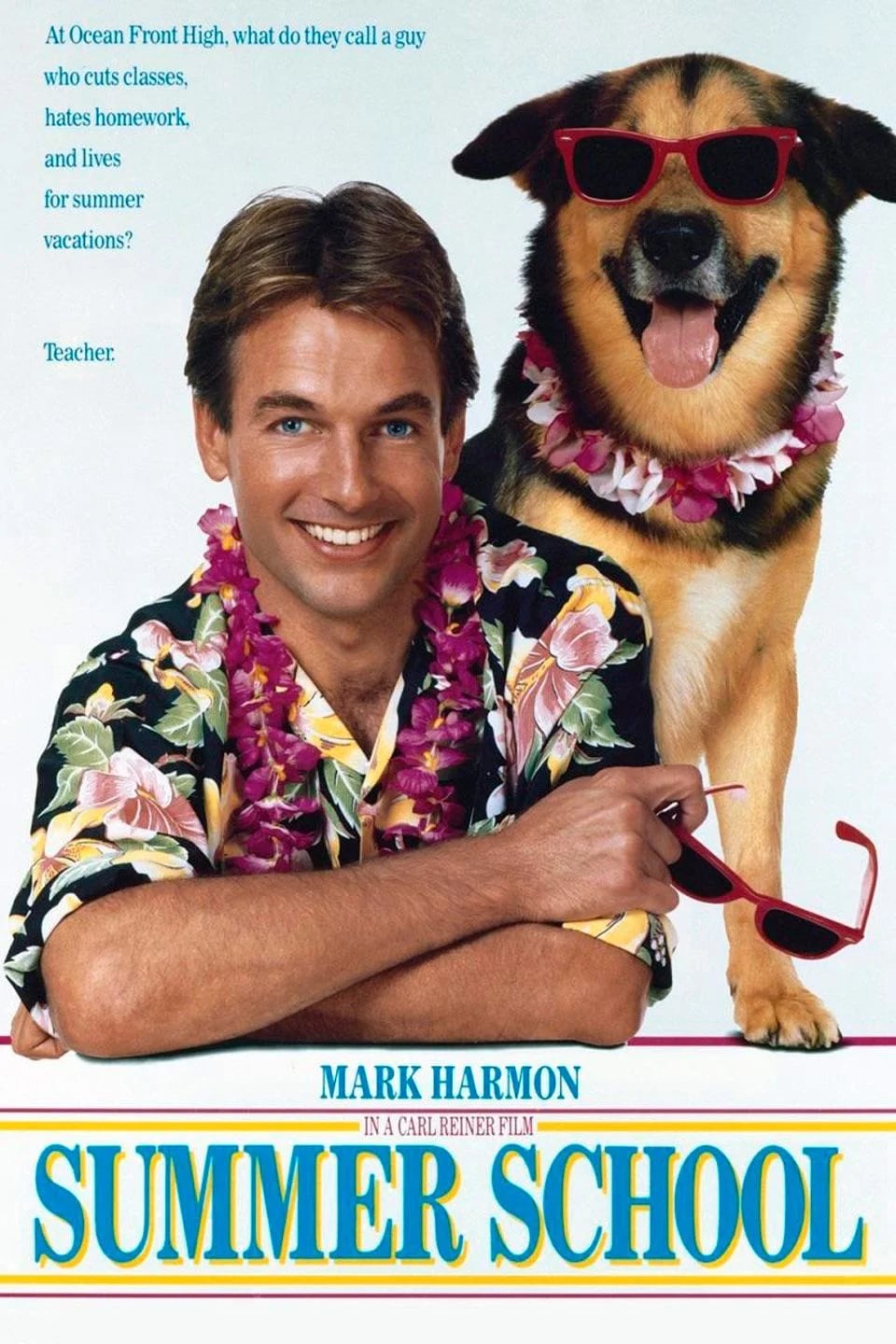 Summer School - Cover