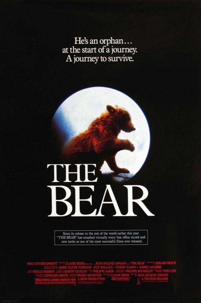 The Bear - Cover