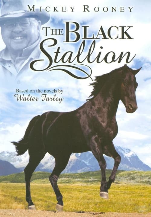 The Adventures of the Black Stallion - Cover