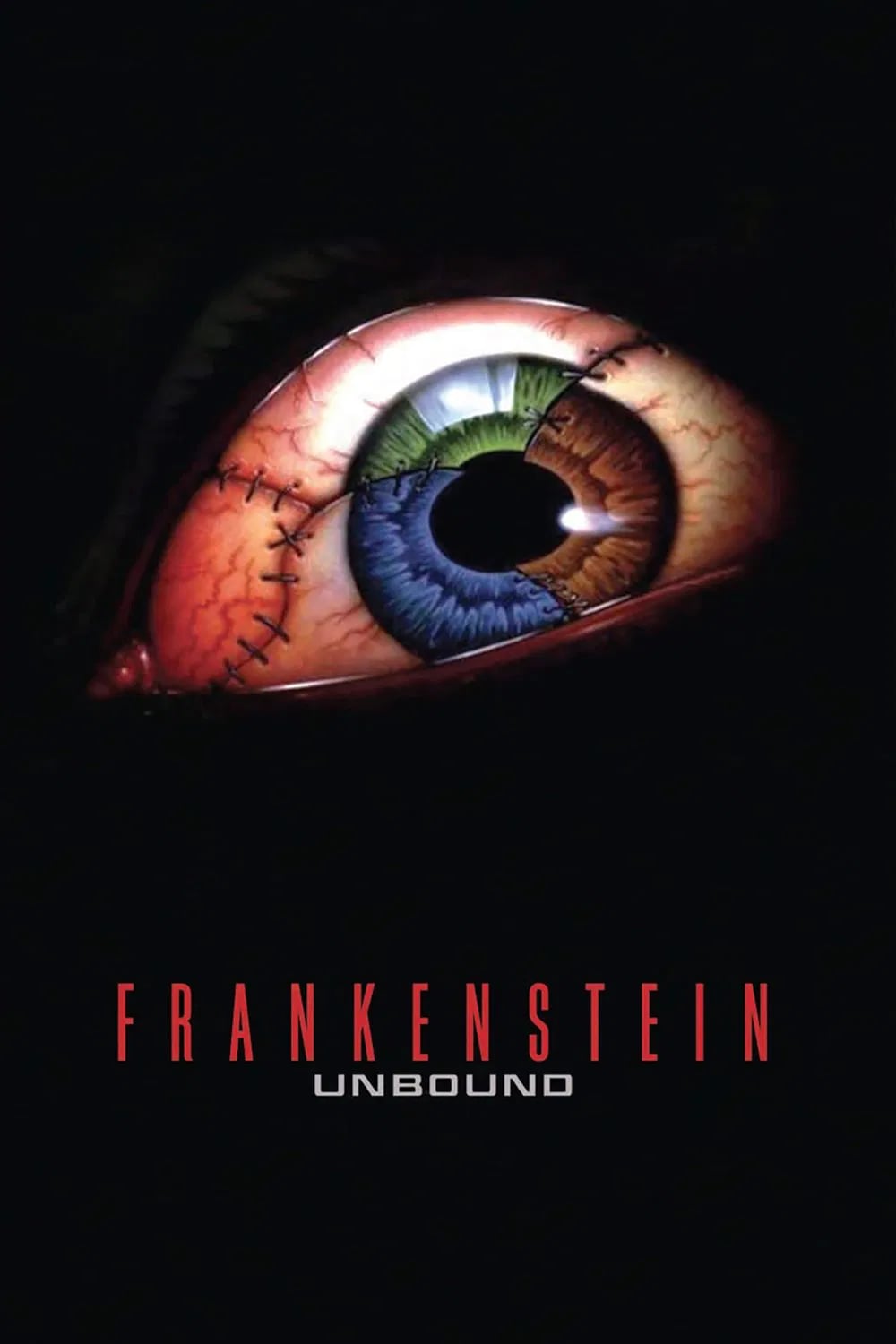 Frankenstein Unbound - Cover