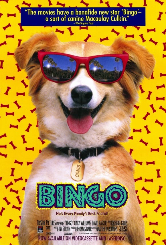 Bingo - Cover